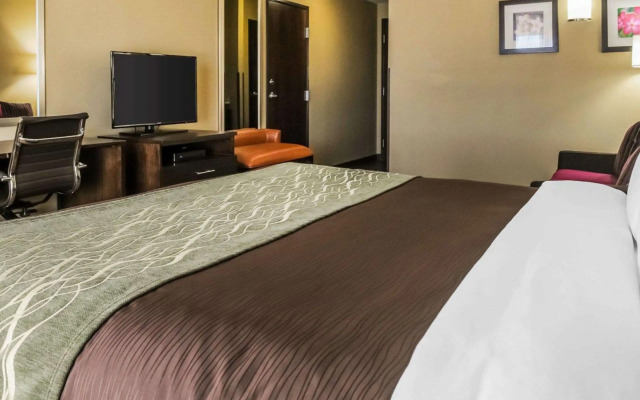 Comfort Inn & Suites Artesia