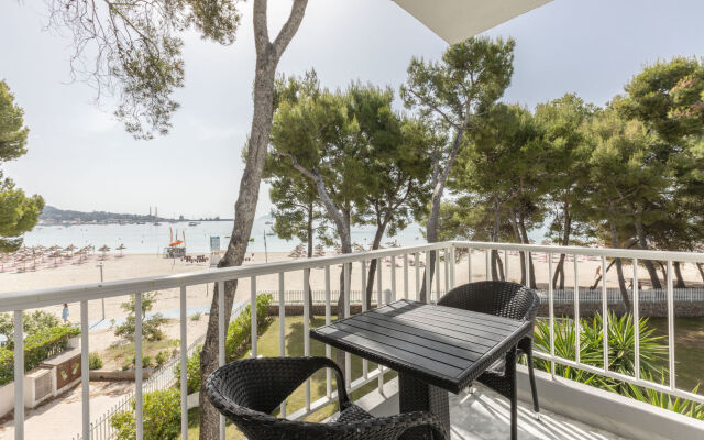 Ferrer Lime Playa de Alcudia
