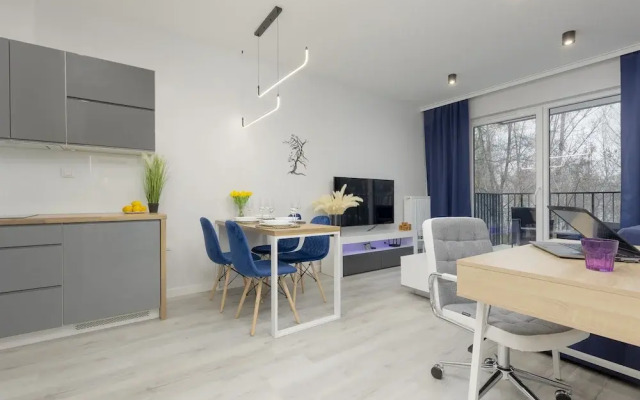 Dark Blue and Grey Apartment by Renters