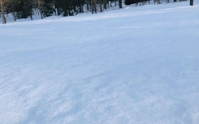 Sæteråsen Hytter & Camping