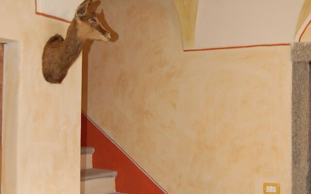 Casa Vacanze Le Primule