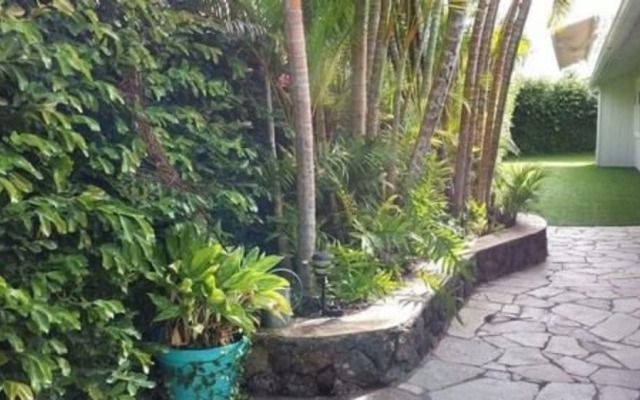 Paradise Palms B and B