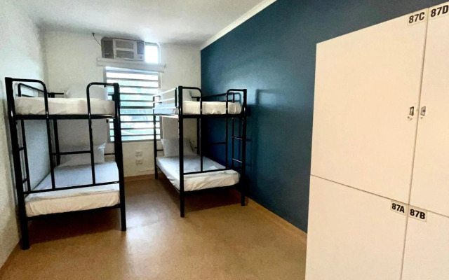 Melaleuca On Mitchell