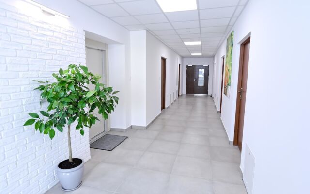 Hostel Orange Tree
