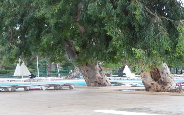 Bergiz Hotels & Resort Kemer 
