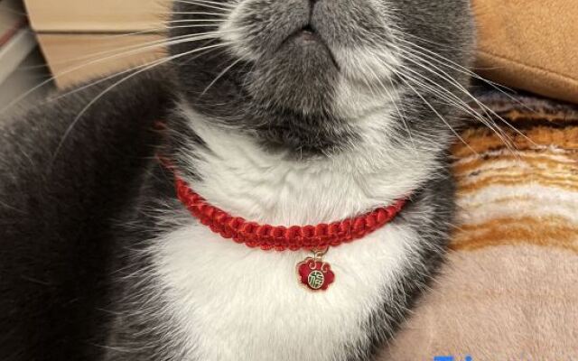 Xiaomi Apartment (Xiamen Gaoqi Airport)