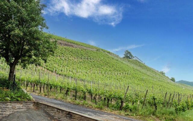 Exceptional Holiday Flat in Kinheim