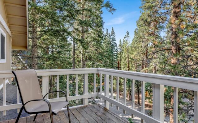 Tree TOP Views #2060