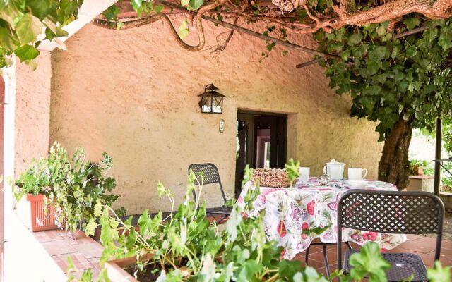 Bardeggiano - Caterina 5 (COL241)