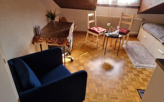 Momo's appartement - in center of fribourg!