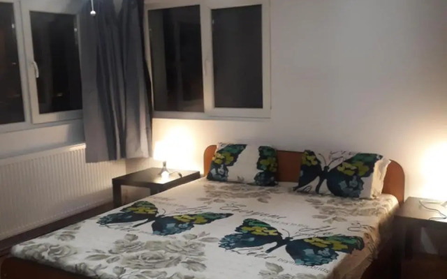 Tobyta nu primesc santieristi si petrecareti