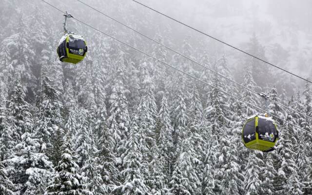 Crash Hotel Squamish