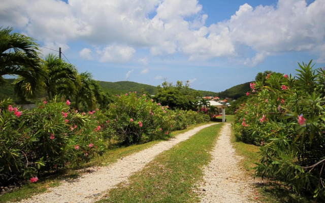 Villa with swimming pool and garden view MQSA20