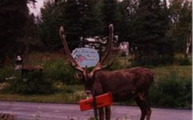 All Seasons B&B