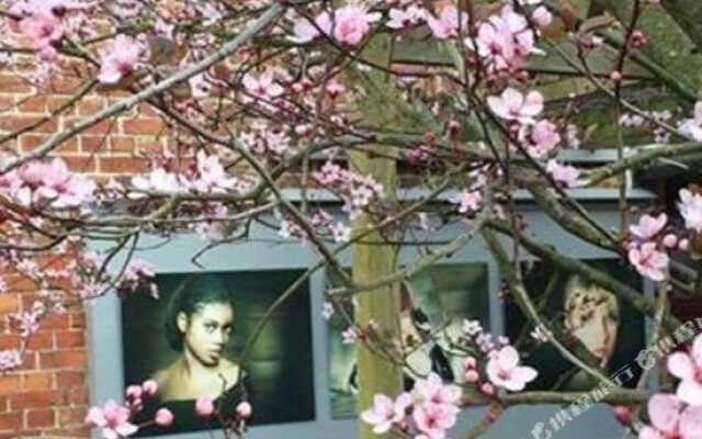 Triskele Haus - Ökologisches Seminar- & Gästehaus Neustrelitz