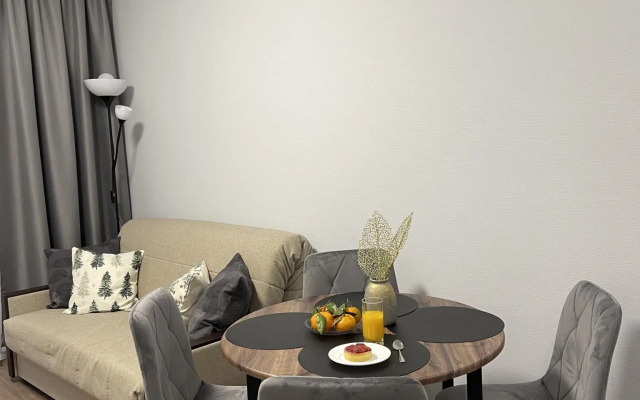 Апартаменты на проспекте Большой Сампсониевский 70/3