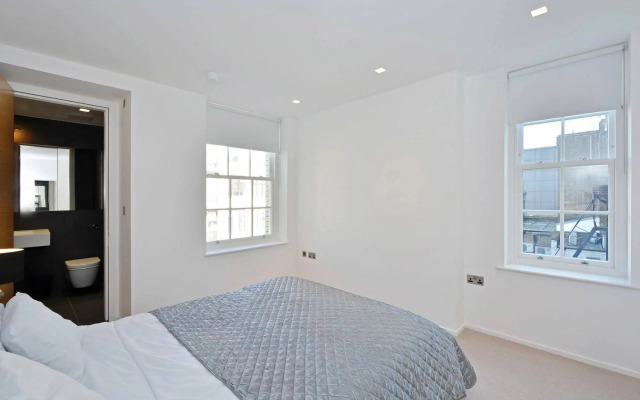 Oxford Circus Penthouses