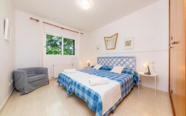 La Vinya del Beato 1950