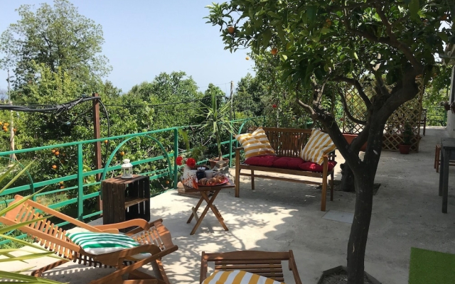 Arancetodamare Artemide