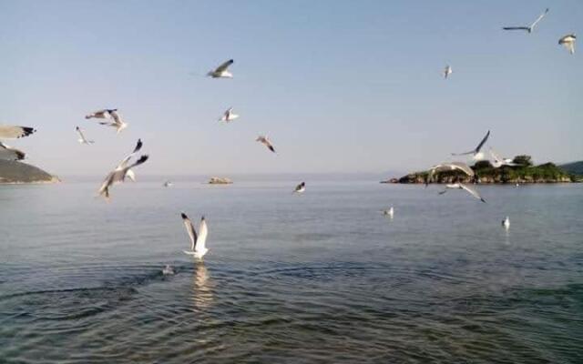 Anastasia's Apartment 2