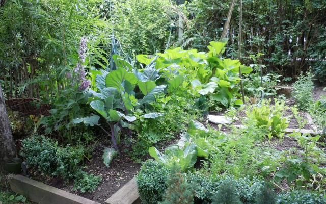 Appartementhaus Dargham