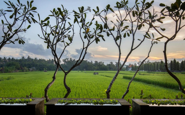 Villa Kayu Lama