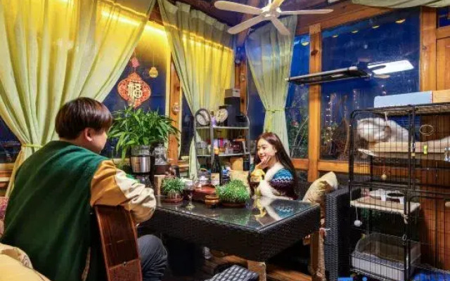 Sanfang Qixiang · Cute Pet | Travel Photography holiday Villa