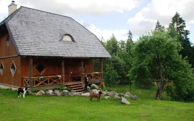 BirdWatch-Lithuania