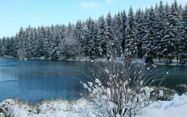 Waldhotel Zöbischhaus