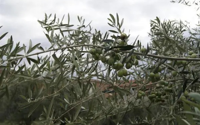 La Hosteria de Oropesa