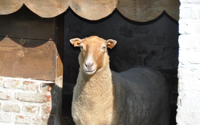 't Verloren Schaap