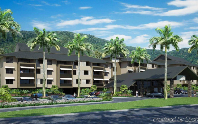 Paradise Palms