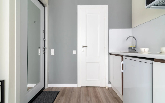 Санди на проспекте Лихачева 20