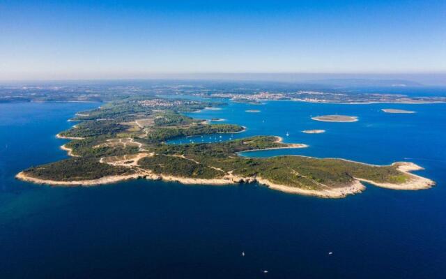 Apartment-Studio-Ginkgo-A1