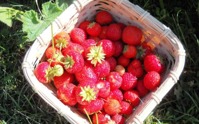 Johanna River Farm & Cottages