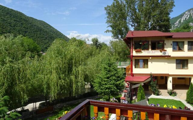 Pension Cuibul Viselor