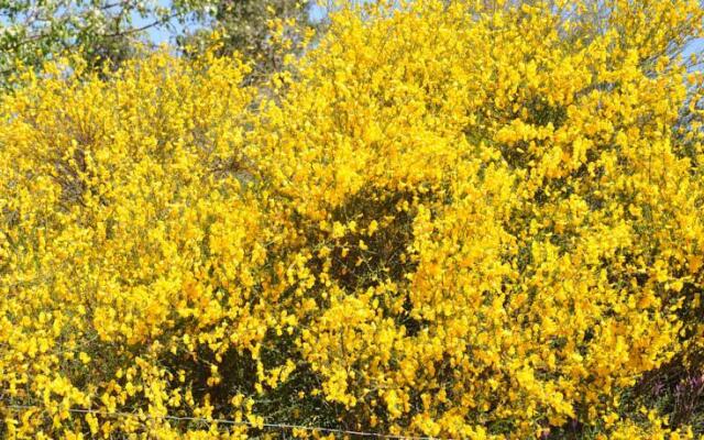 Refugio De La Rabaza