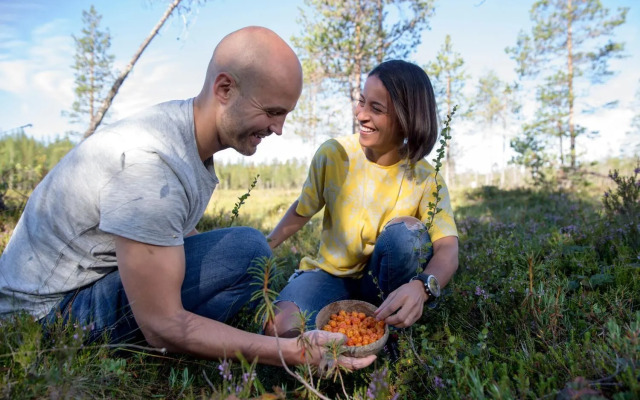 Ounasvaara Lakituvat chalets