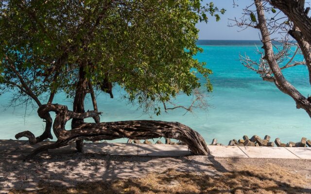 Lago de los Sueños Island