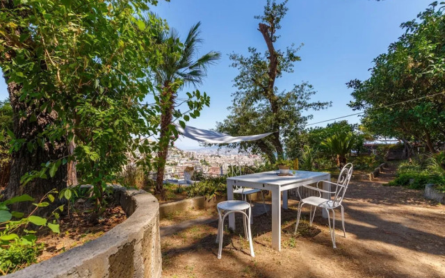 Quite Shelter in Naples