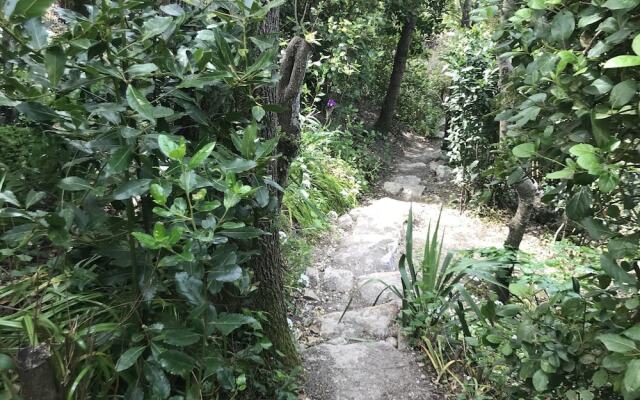 Serene Holiday Home in Lagrasse With Terrace