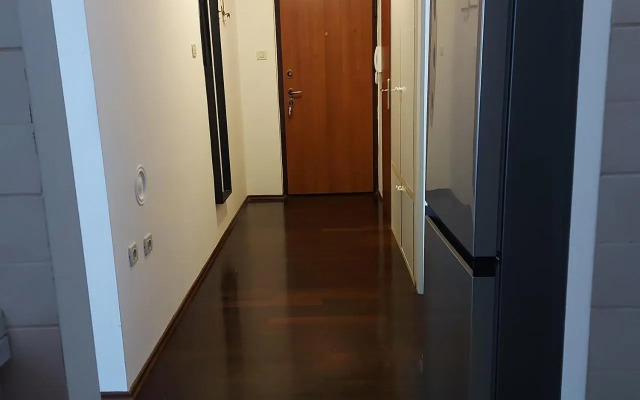 Big cozy apartment Ivan