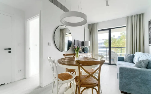 Shellter City Apartments