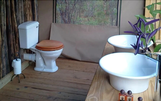 Miombo Safari Camp