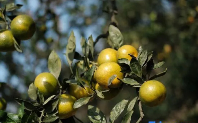 Cloud Retreat Sanshan Island