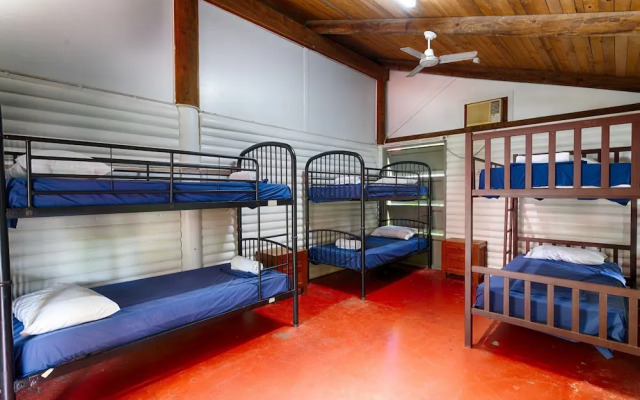 PKs Jungle Village - Hostel