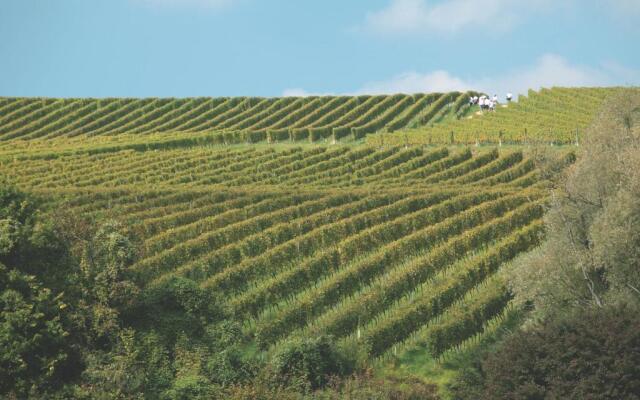 Rooms Bolfan Vinski Vrh