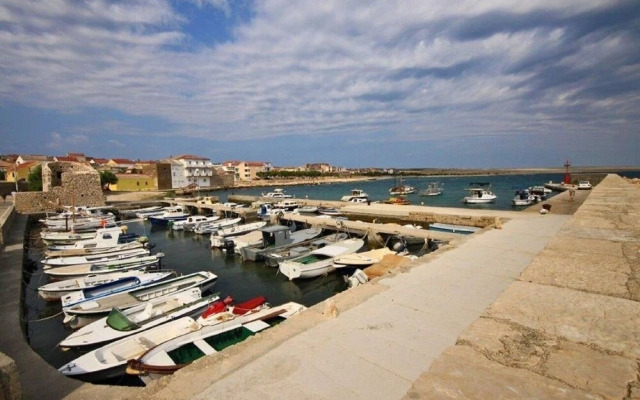 Mario - With Garden - A2