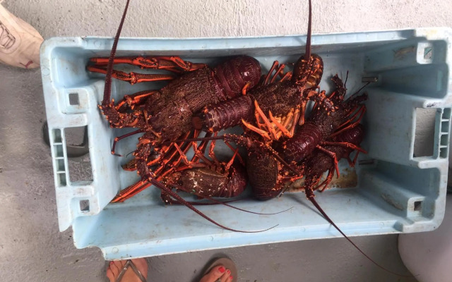 Queenstown Lake Panorama