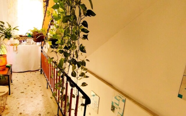 Athens all seasons